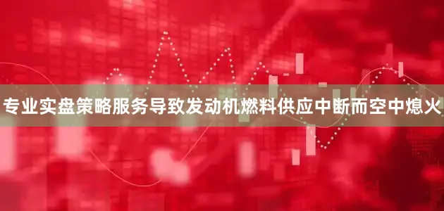 专业实盘策略服务导致发动机燃料供应中断而空中熄火