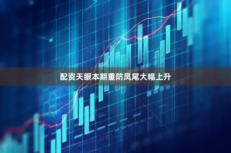 配资天眼本期重防凤尾大幅上升