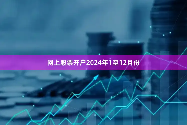 网上股票开户　　2024年1至12月份