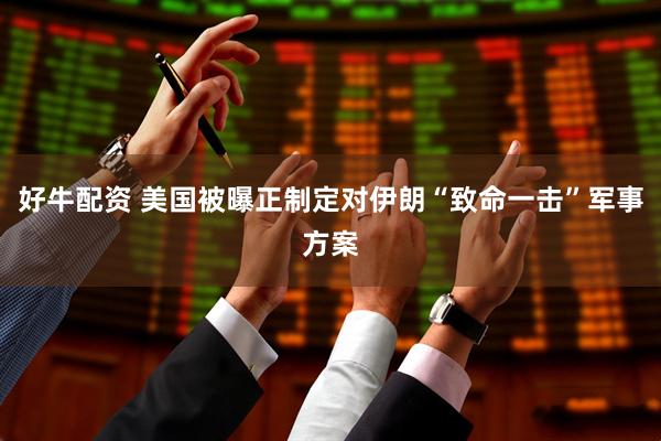 好牛配资 美国被曝正制定对伊朗“致命一击”军事方案