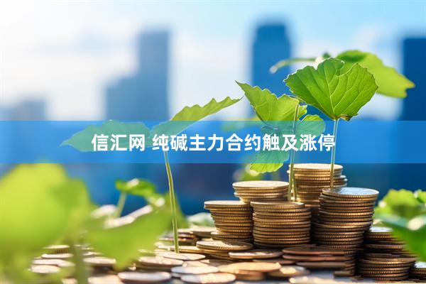 信汇网 纯碱主力合约触及涨停