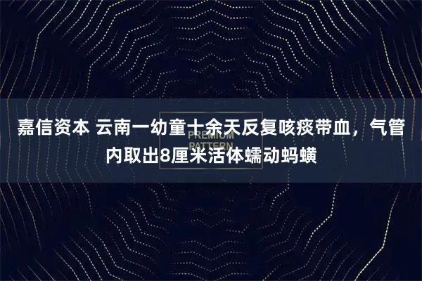 嘉信资本 云南一幼童十余天反复咳痰带血，气管内取出8厘米活体蠕动蚂蟥