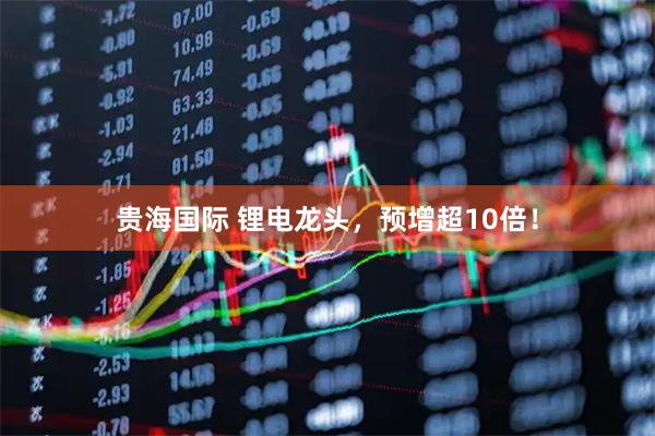 贵海国际 锂电龙头，预增超10倍！