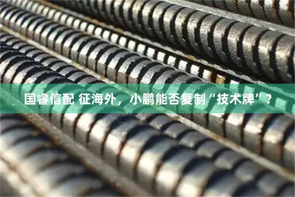 国睿信配 征海外，小鹏能否复制“技术牌”？